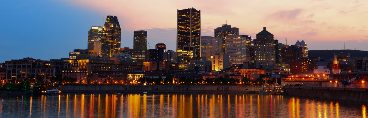 Banner for studying MBBS in Georgia for Indian students